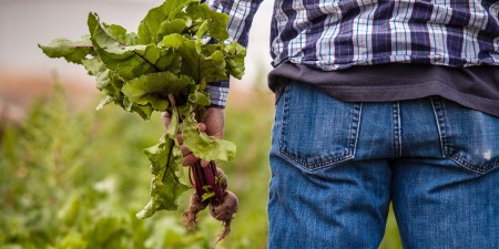 A farmer holding vegetables